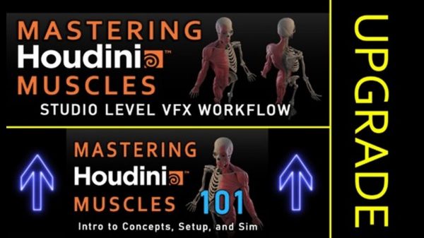 FlippedNormals - Mastering Houdini Muscles: A Studio Level VFX Workflow - ENG