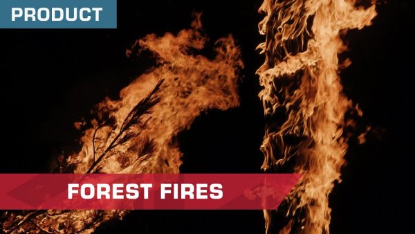 ActionVFX - Forest Fires