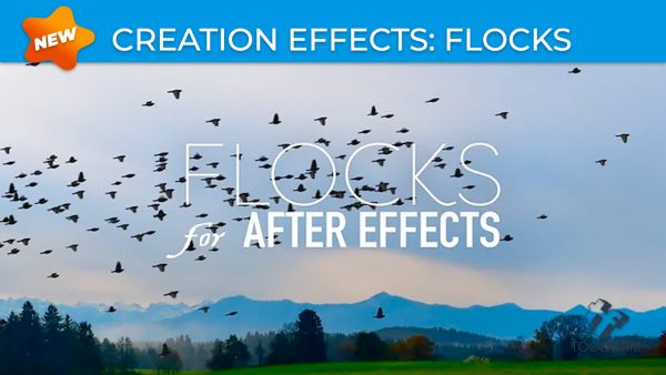 Creation Effects - Flocks