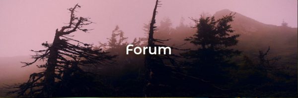 Sony Film Simulation Recipes PDF