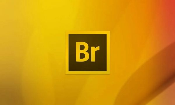 Adobe Bridge 2025  RePack by m0nkrus #WIN