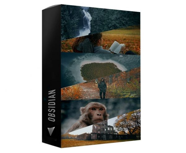 Visualsfirst - Obsidian LUTs