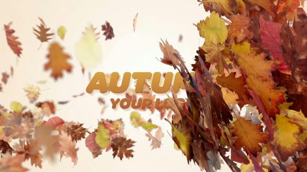 Autumn Logo Reveal