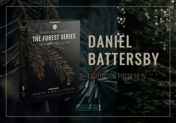 Daniel Battersby - The Elements - The Forest Series Presets + Toolkit