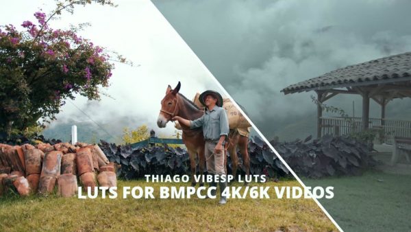 Film Looks - LUTs for BMPCC/BMPCC4K/BMPCC6K Pro Gen4/5 Videos